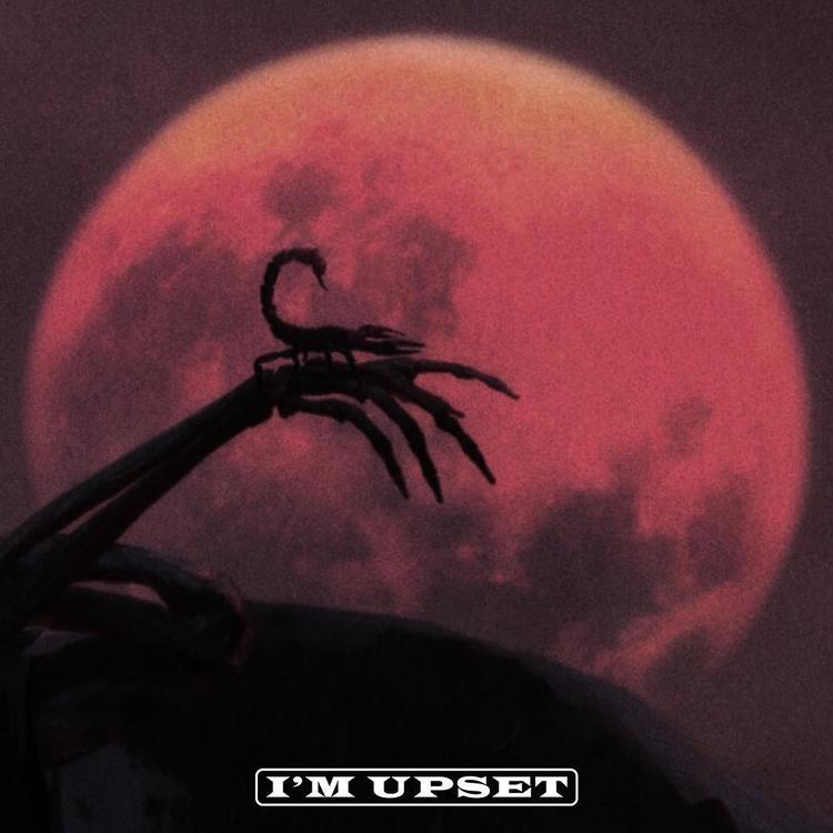 I'm Upset - Drake