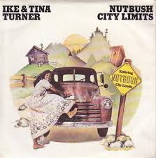 Nutbush (City Limits) - Ike & Tina Turner