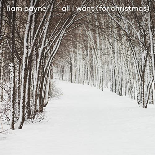 All I Want (For Christmas) - Liam Payne