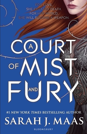 A Court Of Mist & Fury by Sarah J. Maas